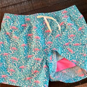 Chubbies Pink and Blue Youth Swim Shorts